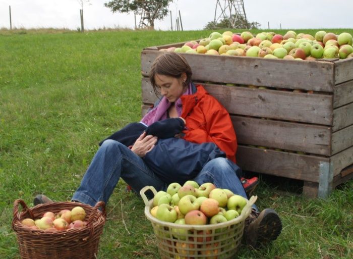 Stillen während der Apfelernte